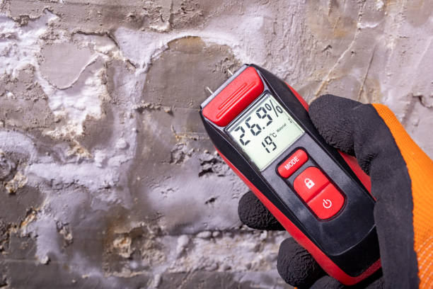 Best Preventive Mold Services in Paris, TX