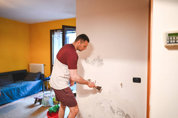  Paris, TX Mold Removal Pros